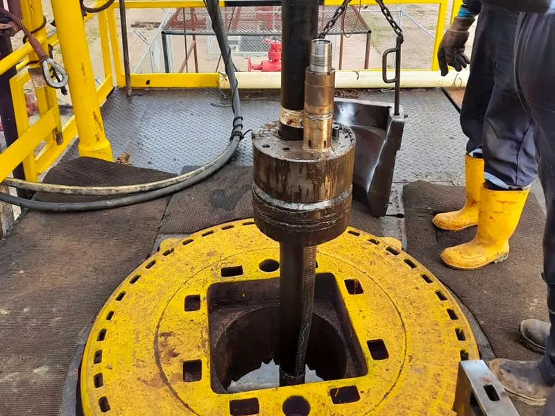 Vaca Muerta Shale Gas Development